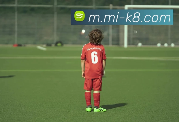 凯发娱乐APP 封面图